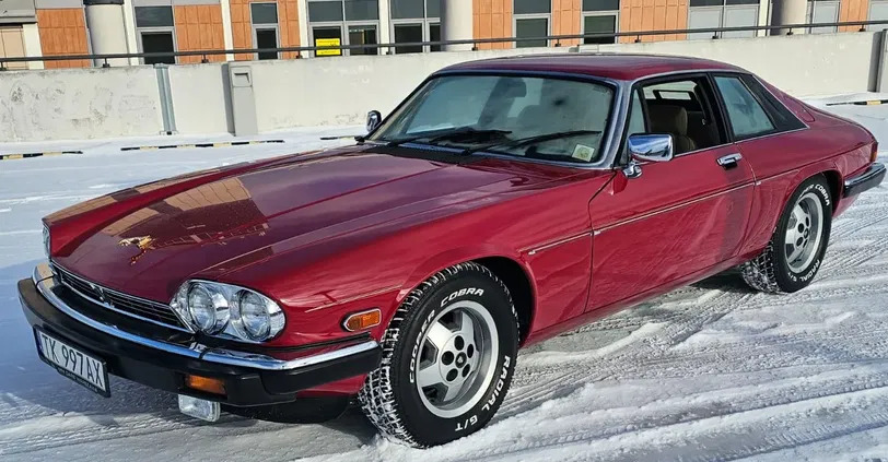 jaguar xjs świętokrzyskie Jaguar XJS cena 43000 przebieg: 131701, rok produkcji 1987 z Kielce